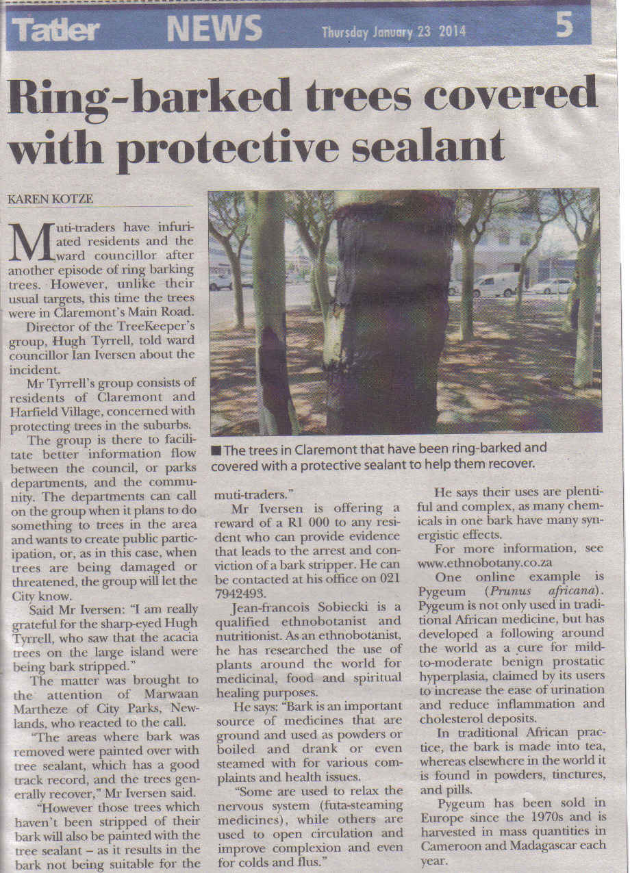 Ringbark Protection Ring barked trees covered with protective sealant (Tatler, 23 January ...