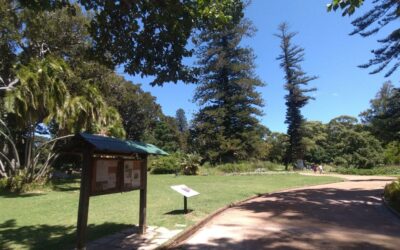 Proposed establishment of a heritage walk in the Claremont area